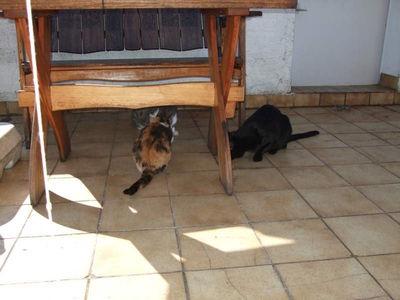 Ostern 2007 Orleshausen 055 